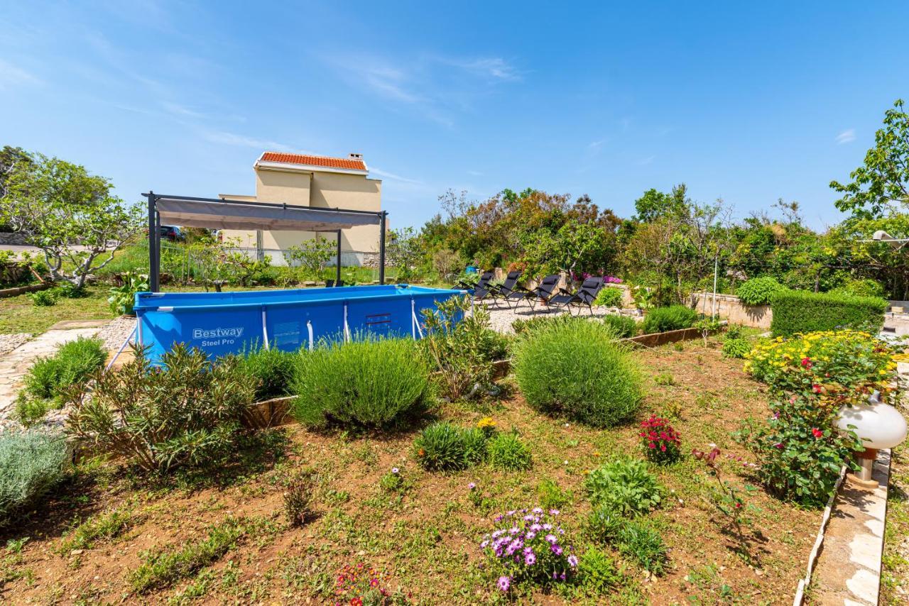 Apartment Sea And Mountain With Pool Novigrad  Exteriör bild
